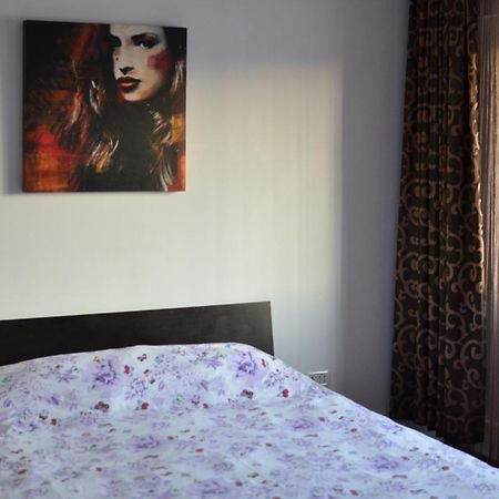 Vila Cu Trandafiri Cozy Apartments 2 Camere Bragadiru Exteriér fotografie