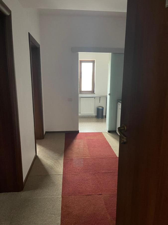 Vila Cu Trandafiri Cozy Apartments 2 Camere Bragadiru Exteriér fotografie